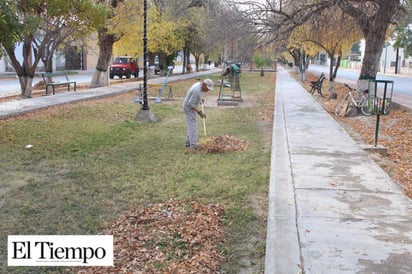 Limpieza en plazas y jardines