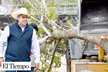 Plantan Nogales en Río Monclova