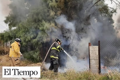 ENCIENDEN PASTIZAL EN ZONA CENTRO