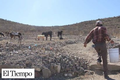 Abandona a mil productores  del campo Gobierno Federal