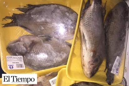 Mantiene SSA vigilancia  sobre venta de mariscos