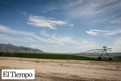 Empresa ‘lechera’ invade  20 mil hectáreas de tierras