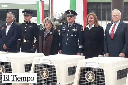 Asiste Gladys a liberación  simbólica de aves y Águila