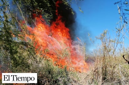 Incendio de pastizales  acabó con cerca de púas