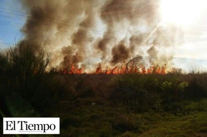 Reporta PC 20 incendios  de pastizales en carretera