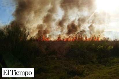 Registran 56 incendios de  pastizales durante enero