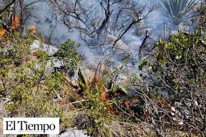 Hoy queda sofocado incendio