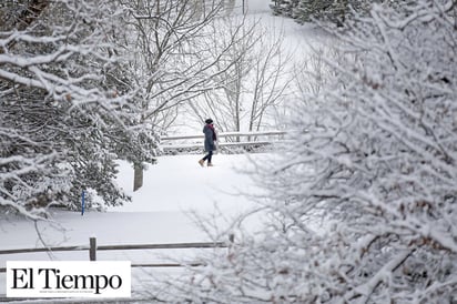 Tormenta invernal provoca fuertes nevadas en Texas y Oklahoma