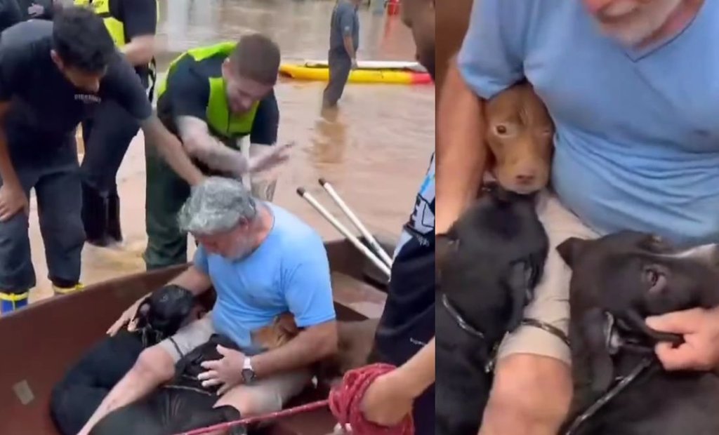 Hombre Arriesga Su Vida Para Salvar A Sus Perritos De Las Inundaciones