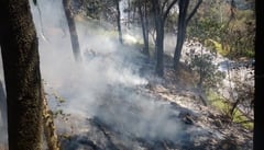 Muere quinto brigadista en combate a un incendio en el Estado de México