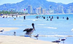 En plena Semana Santa, realizan cierre precautorio en 8 playas de Baja California