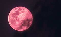 Luna Rosa 2024: ¿Qué es y cuándo ver el fenómeno astronómico de abril?