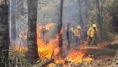 Incendio forestal en zonas naturales protegidas de Morelos aumentó de 275 a 817 hectáreas en 24 horas