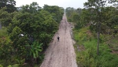 Tren Maya y megaproyectos de AMLO, motivo de mayor violencia contra defensores ambientales: Informe