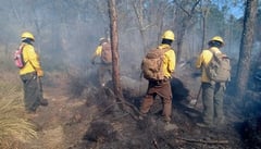 Van más de mil hectáreas afectadas por incendio forestal en áreas naturales protegidas de Morelos