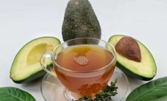 Conoce los beneficios del té de hueso de aguacate para la salud