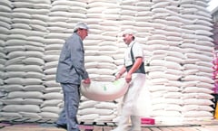 Sequía afecta producción de caña, bajarán exportaciones de azúcar hacia EU