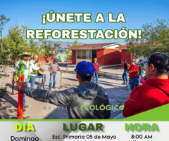 Iniciativa Saltillo Ecológico tiene como objetivo reforestar la ciudad capital de Coahuila
