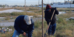 Torreón: se explica el procedimiento para obtener un permiso de trasplante de árboles