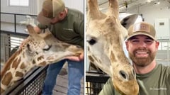 Quiropráctico ajusta el cuello a una jirafa y se hace virall