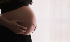 ¿Qué es el cerebro de mamá, fenómeno del que no se habla y sucede durante el embarazo?