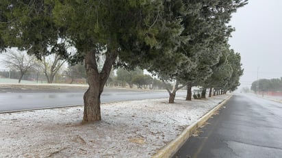 Saltillo