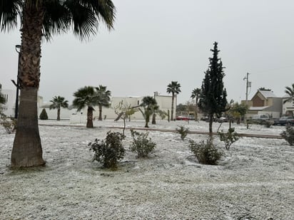 Sabinas 
