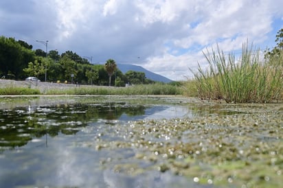 El Río Monclova 
