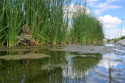 El Río Monclova 
