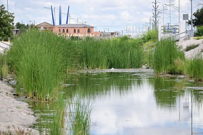 El Río Monclova 
