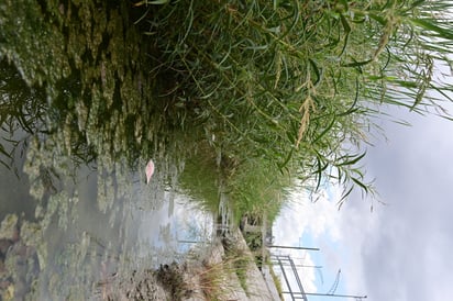 El Río Monclova 