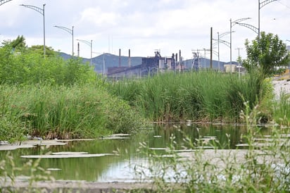 El Río Monclova 