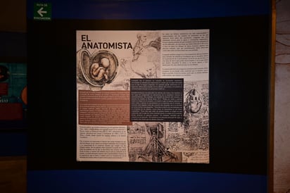 Da Vinci inmersisive 
