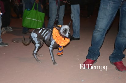 Noche de Flores y Calaveras ilumina Monclova en la tradicional “Alumbrada 2025”