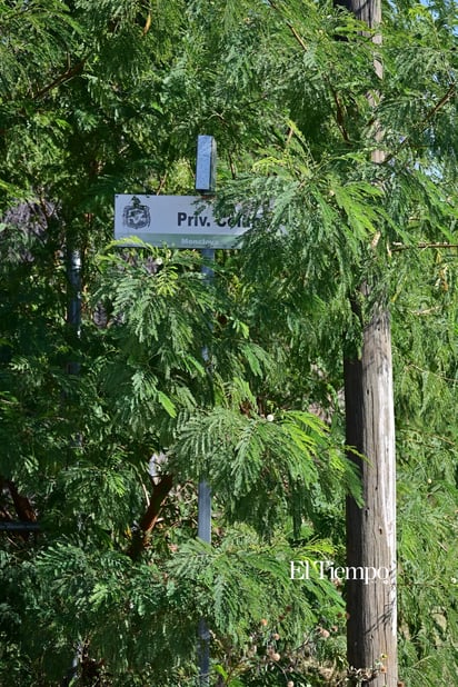 Nombres que se desvanecen