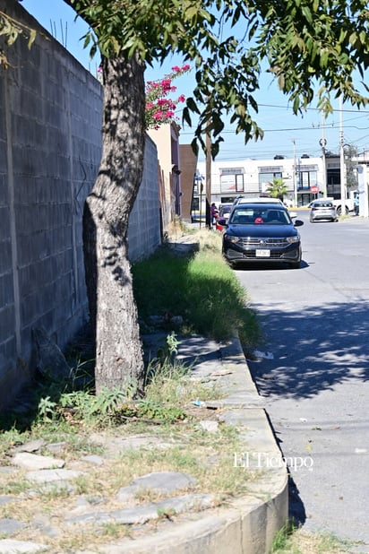 Nombres que se desvanecen