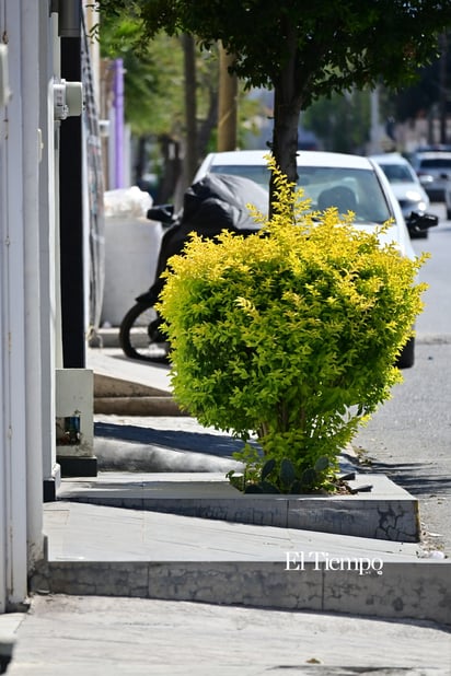 Las banquetas, espacios para caminar y convivir