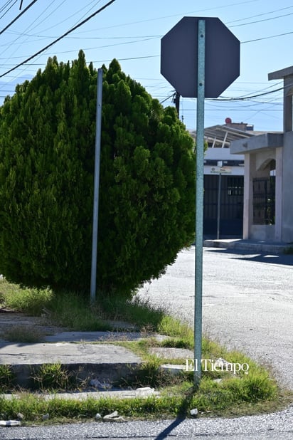 Nombres que se desvanecen