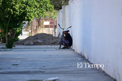 Rodar en la ciudad: entre el ritmo y la persistencia