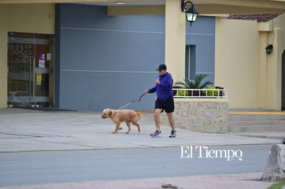 Bajo el cielo gris, Monclova no se detiene