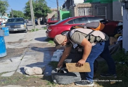 Refuerzan medidas contra dengue en Allende y Nava tras brote