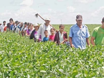 Sufren deshidratación crónica miles de trabajadores agrícolas en Texas