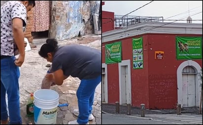 VIDEO: Denuncian a estética canina por bañar a perros con jabón para trastes 