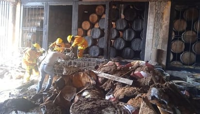 Suman 6 muertos por explosión en fábrica de José Cuervo en Jalisco