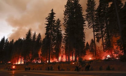 Más de 4 mil 800 bomberos tratan de combatir incendio en California