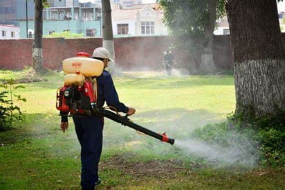 Casos de dengue se disparan a 68 en la última semana   