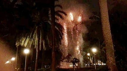 Fuegos artificiales incendian palmeras durante Grito de Independencia en San Pedro