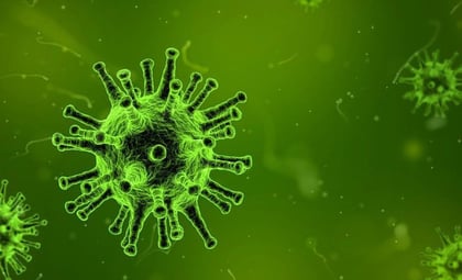 Un virus del herpes modificado ayuda a combatir cánceres avanzados
