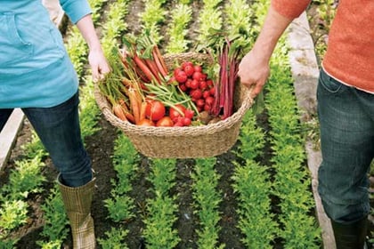 Fomento agropecuario lleva pláticas sobre beneficios de  hacer huertos en casa