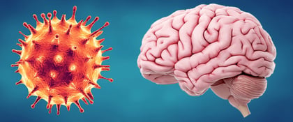 Un gran estudio encuentra un vínculo entre las infecciones virales y futuras enfermedades cerebrales